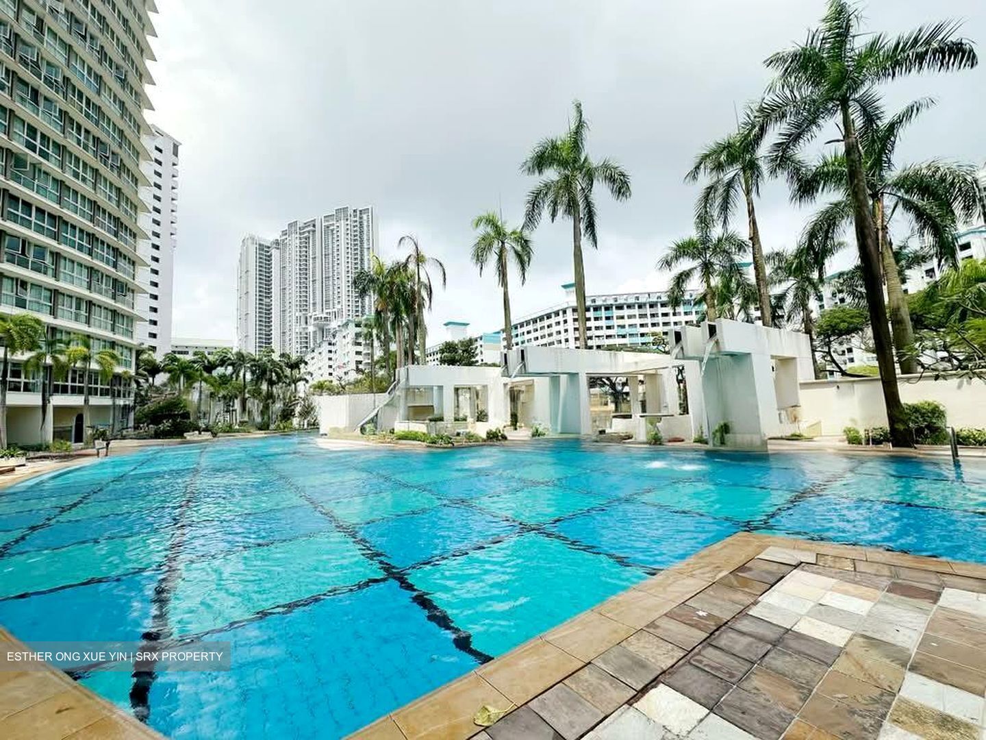 Trellis Towers (D12), Condominium #535358991